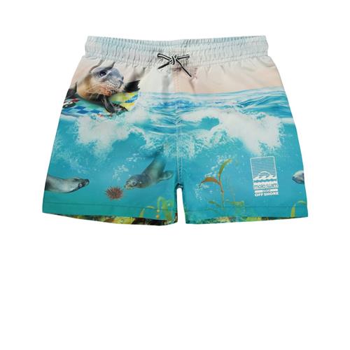 Molo Niko Badebukser Sealion 92/98 cm  Blå  92/98 cm  mand