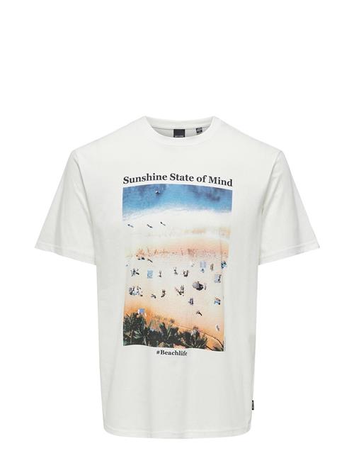 Se ONLY & SONS Onskolton Reg Beach Photoprint Ss Tee ONLY & SONS White ved Booztlet