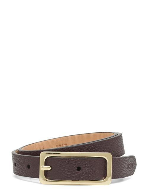 Sartorelle. ECCO Brown