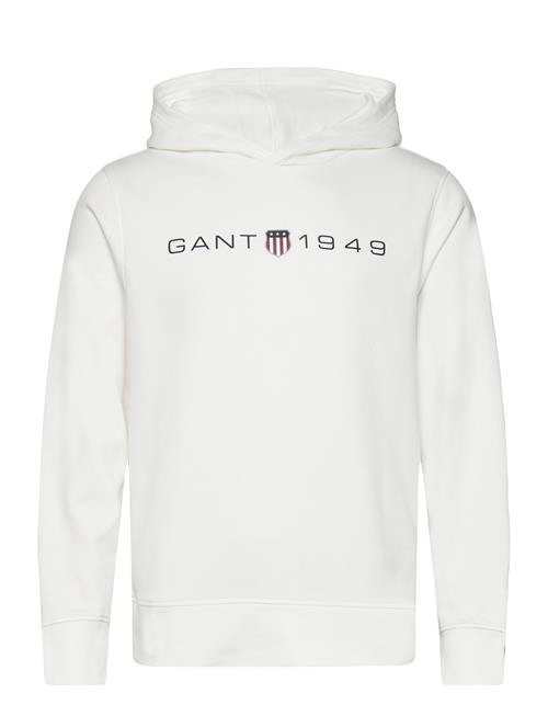 Printed Graphic Hoodie GANT White