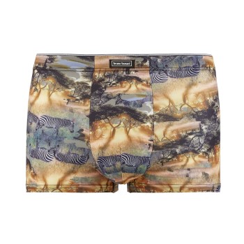 Bruno Banani Golden Africa Hipshort Flerfarvet polyester Small Herre