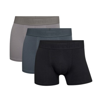 Resteröds 3P Organic Cotton Boxer Regular Leg Flerfarvet økologisk bomuld Large Herre