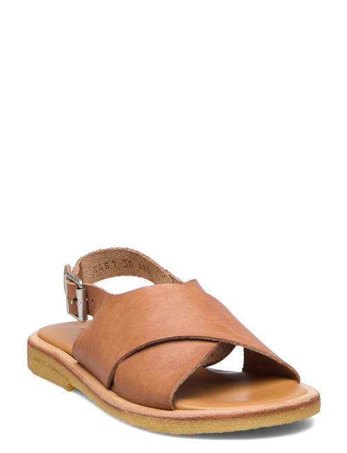 ANGULUS Sandals - Flat - Open Toe - Op ANGULUS Brown