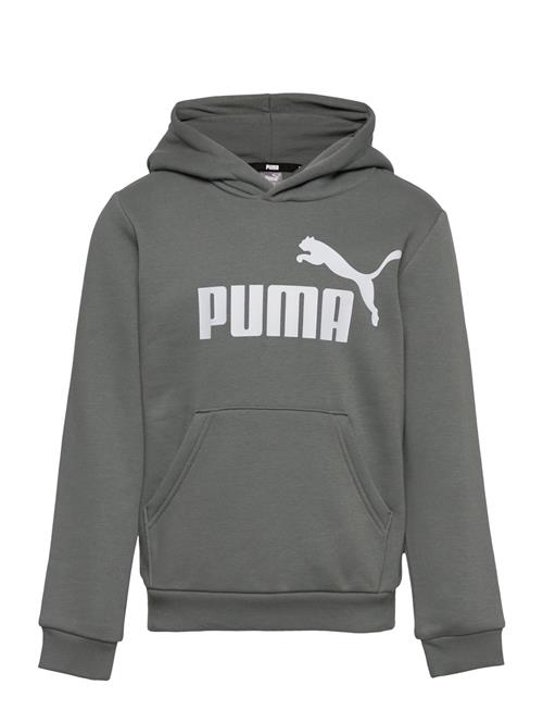 Ess Big Logo Hoodie Fl B PUMA Grey