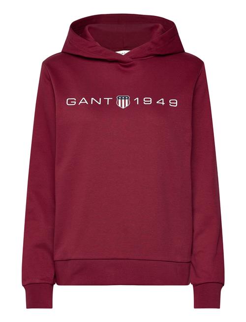 GANT Reg Printed Graphic Hoodie GANT Red