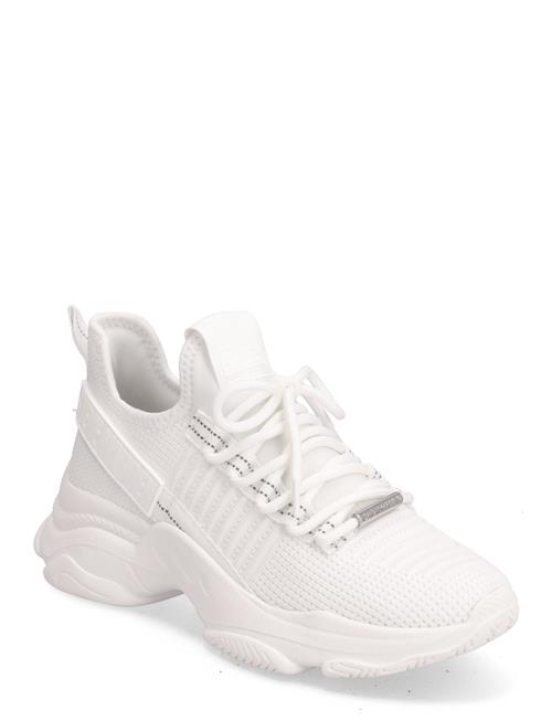 Se Steve Madden Mac-E Sneaker Steve Madden White ved Booztlet