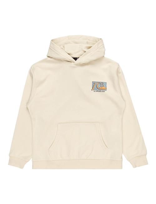 Se Quiksilver Drybridge Hoodie Youth Quiksilver Beige ved Booztlet