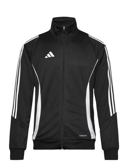 Se adidas Performance Tiro24 Trjkt Adidas Performance Black ved Booztlet