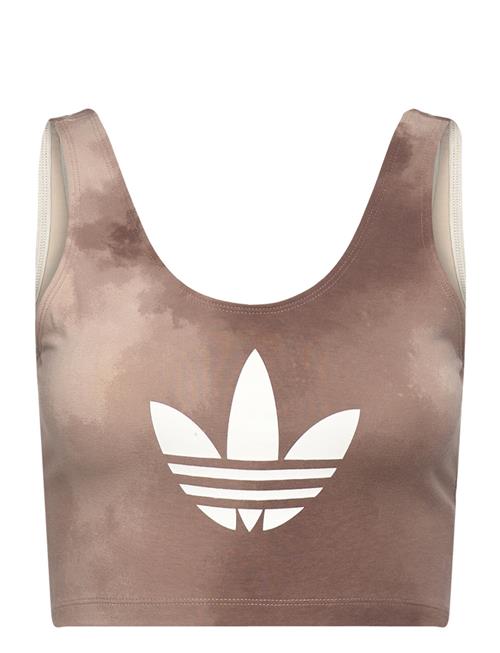 Se adidas Originals Bra Top Adidas Originals Brown ved Booztlet