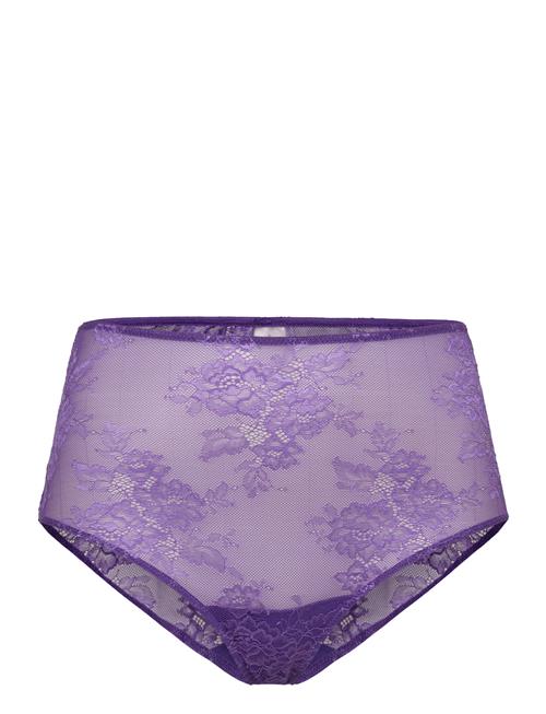 Understatement Underwear Lace Highwaist Briefs 001 Understatement Underwear Purple