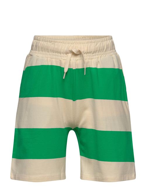 The New Tnjae Uni Shorts The New Green