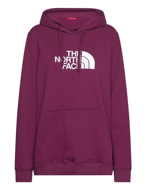 Se The North Face W Drew Peak Pullover Hoodie - Eu The North Face Burgundy ved Booztlet