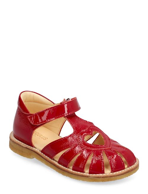 ANGULUS Sandals - Flat - Closed Toe - ANGULUS Red