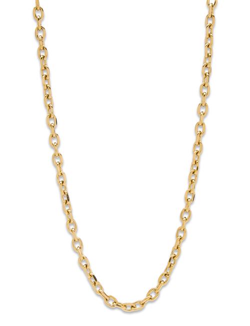 Anker Necklace Samie Gold