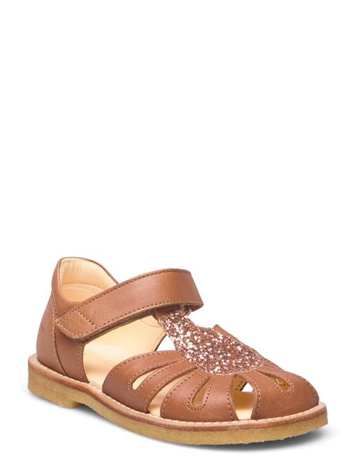 ANGULUS Sandals - Flat - Closed Toe - ANGULUS Brown