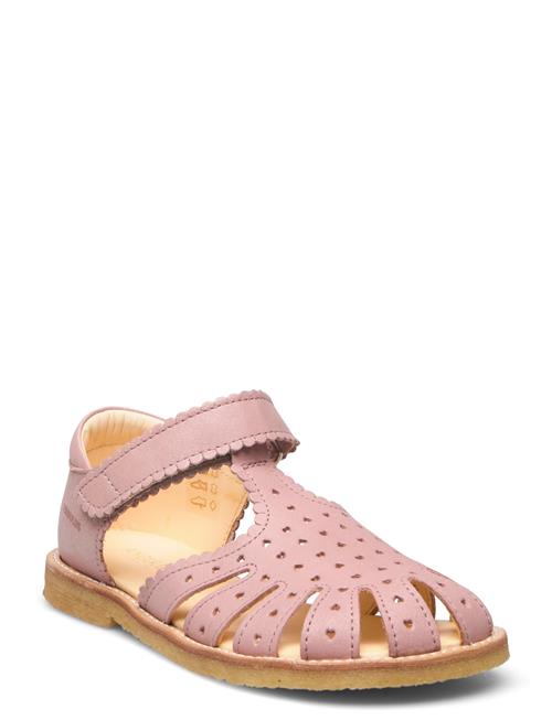 ANGULUS Sandals - Flat - Closed Toe - ANGULUS Pink