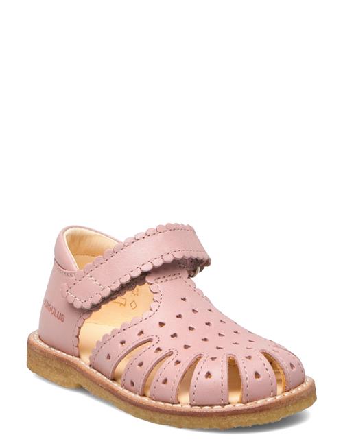 ANGULUS Sandals - Flat - Closed Toe - ANGULUS Pink