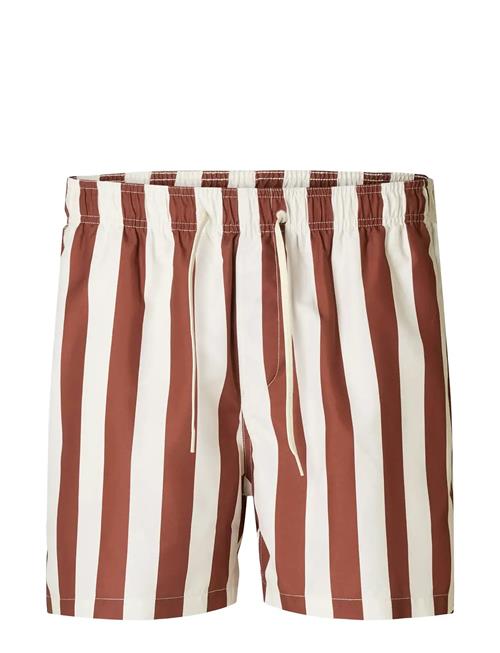 Slhdane Aop Swimshorts Selected Brown