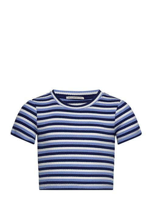 Cropped Striped Rib T-Shirt Tom Tailor Blue