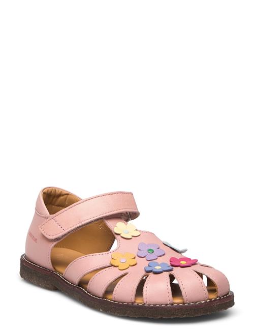 ANGULUS Sandals - Flat - Closed Toe - ANGULUS Pink