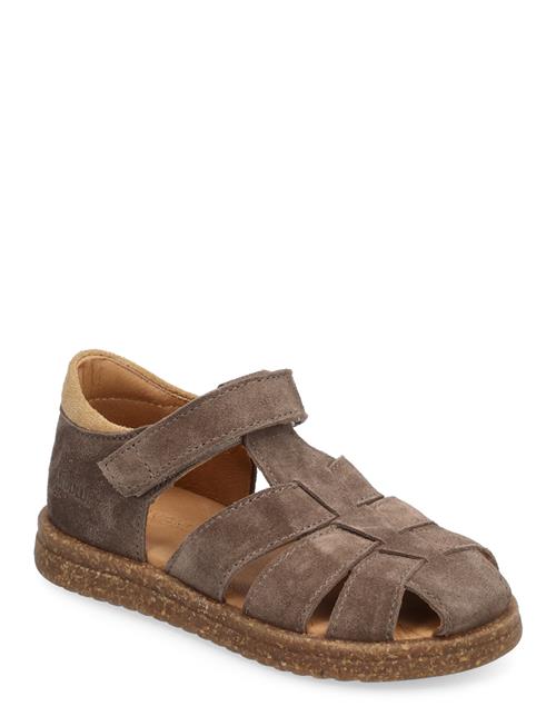 Se ANGULUS Sandals - Flat - Closed Toe - ANGULUS Brown ved Booztlet