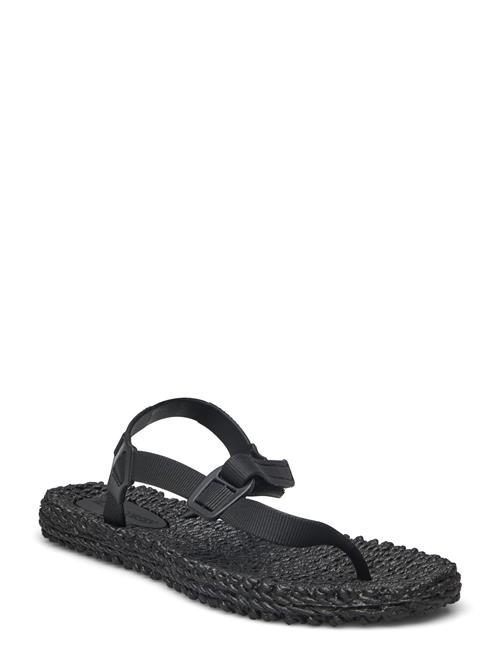 Se Ilse Jacobsen Flip Flop With Straps Ilse Jacobsen Black ved Booztlet