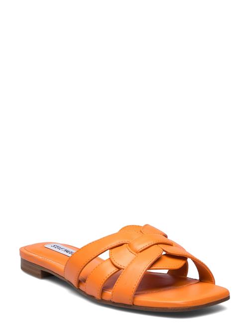 Steve Madden Vcay Sandal Steve Madden Orange