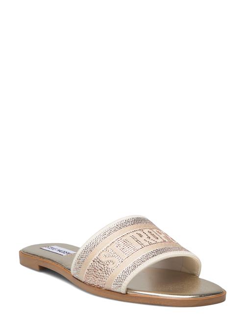 Steve Madden Knox-R Sandal Steve Madden Gold