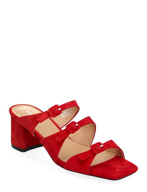 Hanna Buckle Mule Shoe The Bear Red