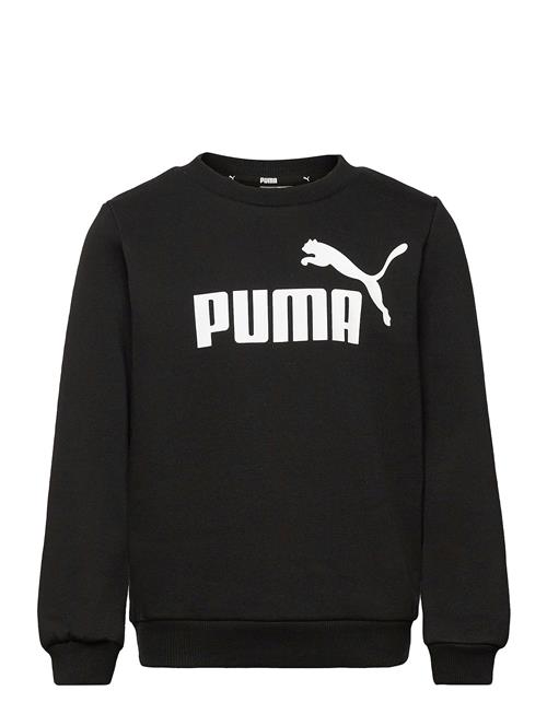 Ess Big Logo Crew Fl B PUMA Black