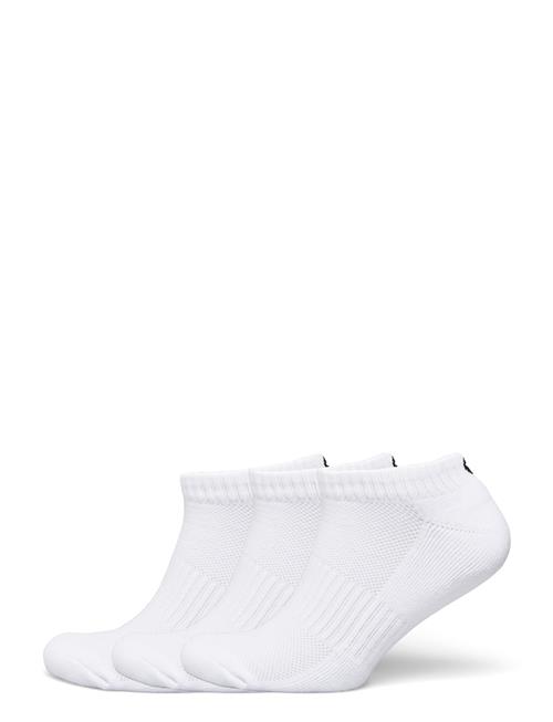 BACKTEE Backtee Lowcut Sock BACKTEE White