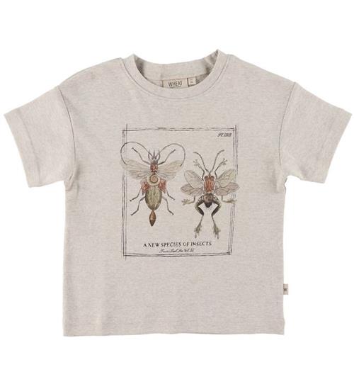 Se Wheat Wheat T-shirt - New Species - Fossil Melange ved KidsWorld