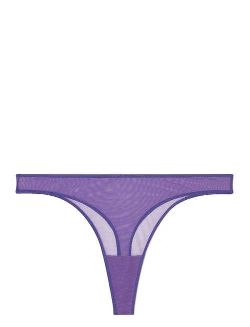 Se Understatement Underwear Mesh Thong Understatement Underwear Purple ved Booztlet