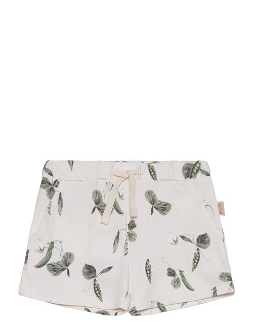 Petit Piao Shorts Sum Printed Petit Piao Beige