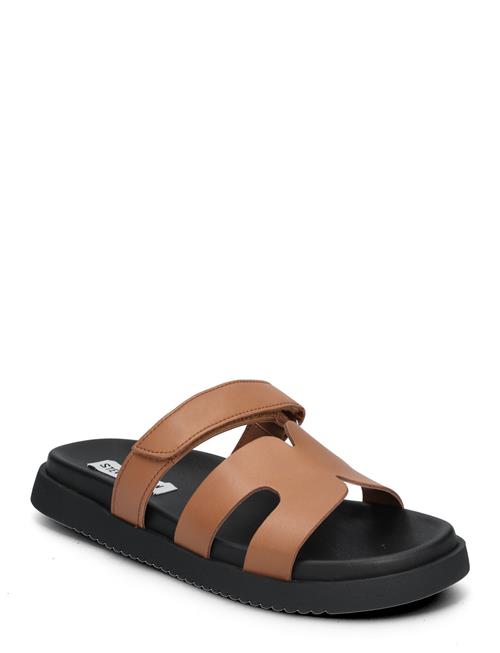 Se Steve Madden Missile Sandal Steve Madden Brown ved Booztlet