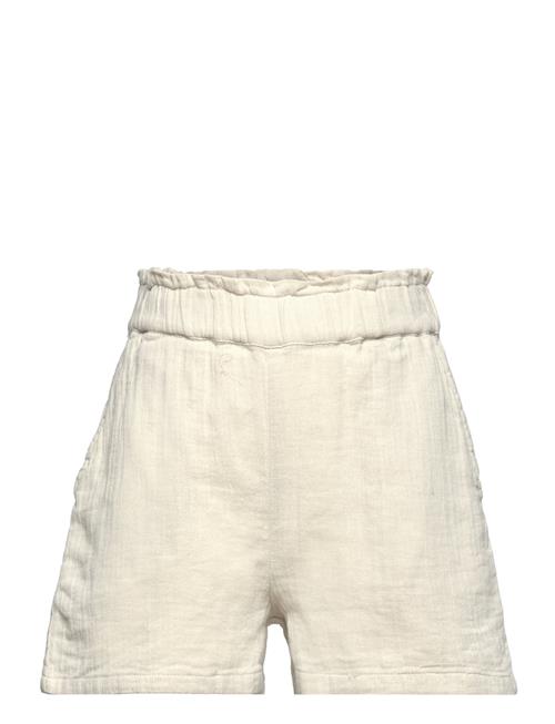 The New Tnfaisa Shorts The New Cream