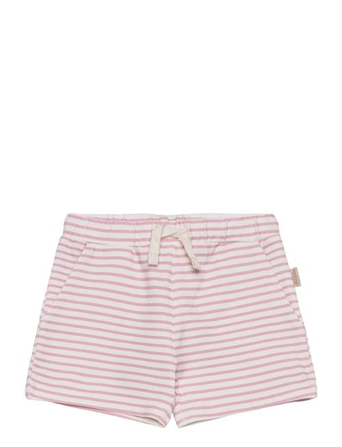 Petit Piao Shorts Sum Printed Petit Piao Pink