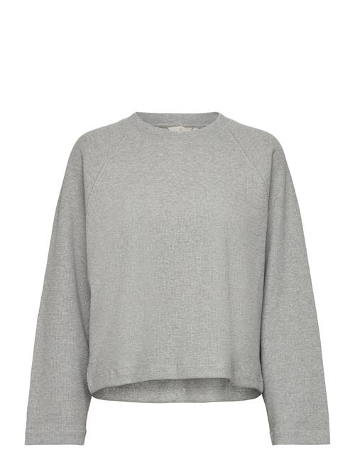 Basic Apparel Barbara Sweatshirt Gots Basic Apparel Grey