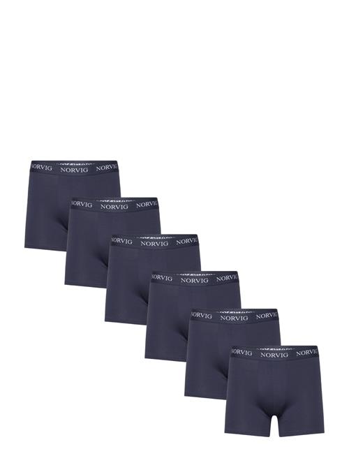 NORVIG 6-Pack Mens Tights NORVIG Navy