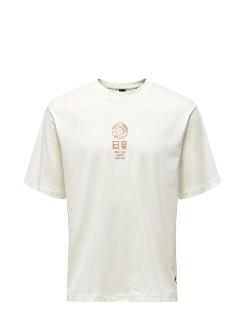 ONLY & SONS Onsmalik Life Rlx Ss Tee ONLY & SONS White