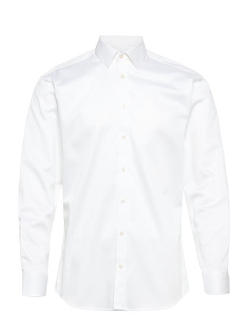 Regular Fit Mens Shirt Bosweel Shirts Est. 1937 White