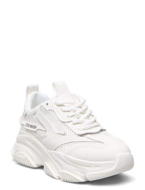 Steve Madden Jpossession Sneaker Steve Madden White