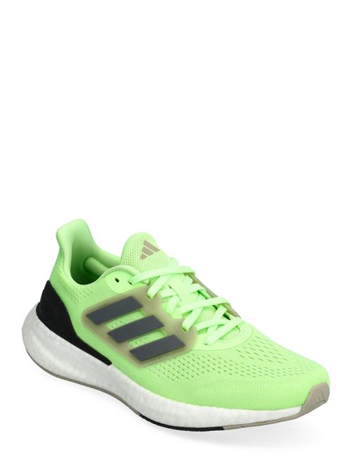 Pureboost 23 Adidas Performance Green