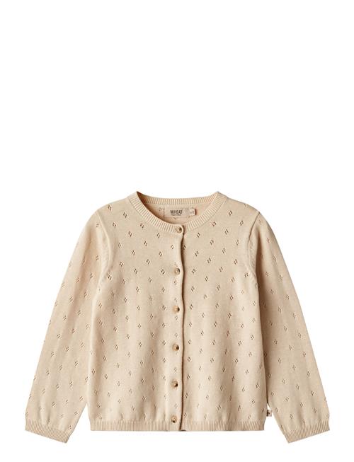 Wheat Knit Cardigan Maia Wheat Cream