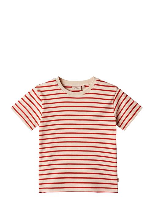 Wheat T-Shirt Fabian Wheat Red