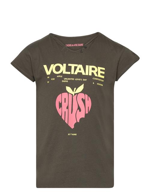 Short Sleeves Tee-Shirt Zadig & Voltaire Kids Khaki