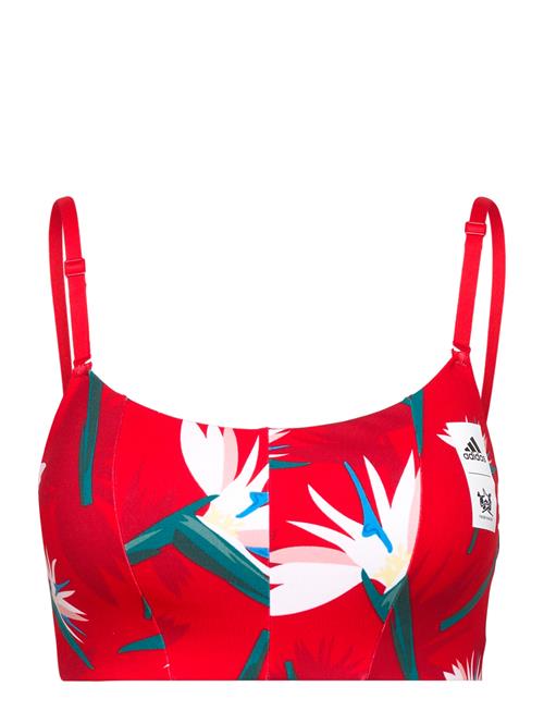 adidas Performance Thebe Magugu Studio Light-Support Bra Adidas Performance Red