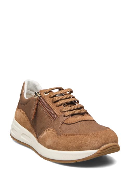 GEOX D Bulmya GEOX Brown