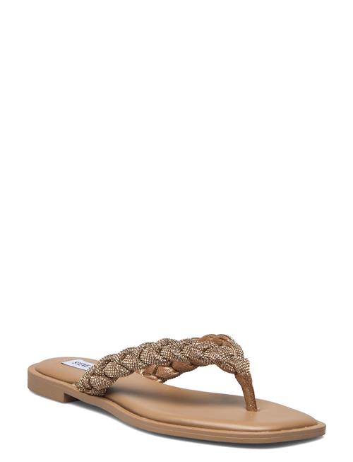 Se Steve Madden Amily-R Sandal Steve Madden Beige ved Booztlet