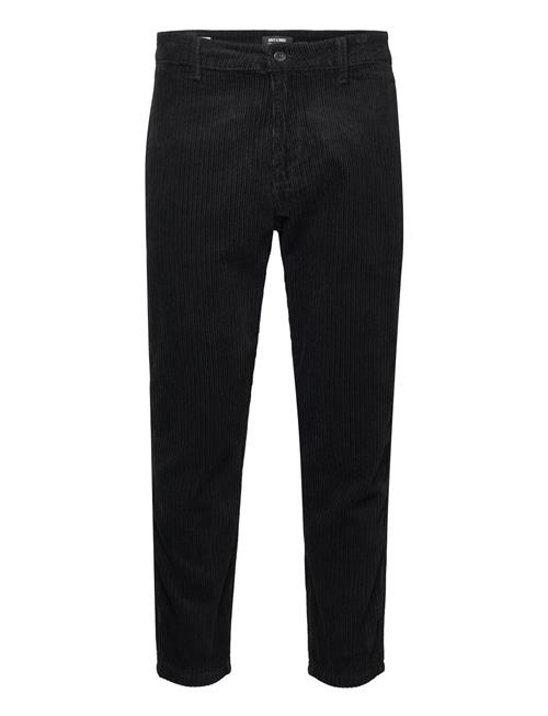 ONLY & SONS Onsavi Beam Lifechino Corduroy 3948 Pant ONLY & SONS Black